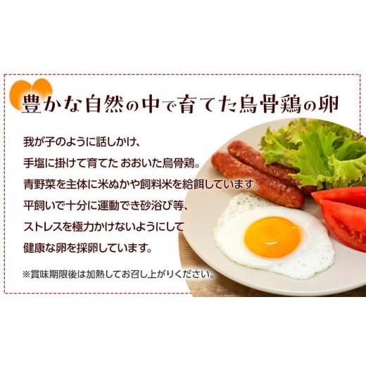 ふるさと納税 大分県 由布市 大分うこっけい卵　生食用20個（10個×2）×12回