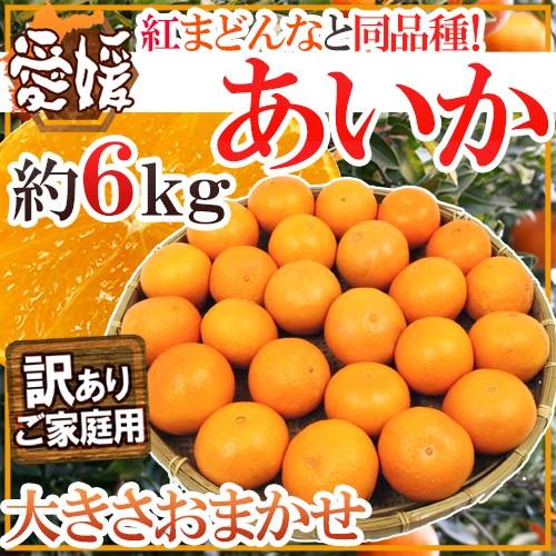 愛媛産 紅まどんなと同じ品種 ”あいか” 訳あり 約6kg 大きさおまかせ 送料無料