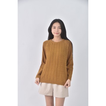 (M) sundea圓領棕色長袖上衣二手衣