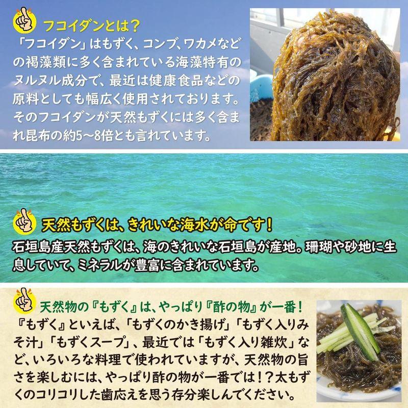 沖縄県 石垣島産 天然太もずく（塩蔵） 500g 夏季商品