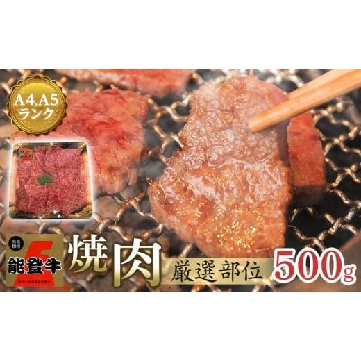 ふるさと納税 石川県 能登町 能登牛　焼肉用厳選部位500g