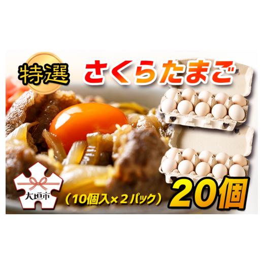 ふるさと納税 岐阜県 大垣市 特選　さくらたまご　20個（10個入×２パック）