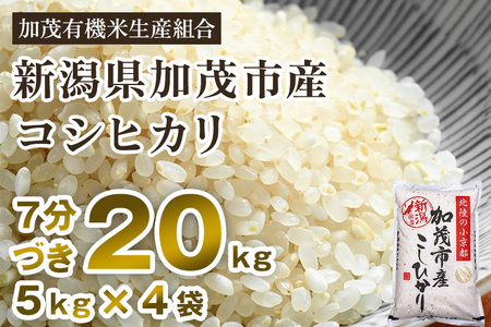 新潟県加茂市産 特別栽培米コシヒカリ 精米20kg（5kg×4） 従来品種コシヒカリ 加茂有機米生産組合 コシヒカリ 新潟県産コシヒカリ 米 お米