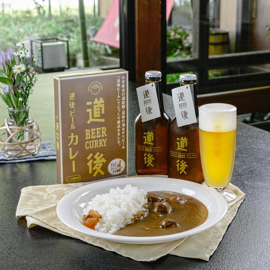 道後ビールカレー ビーフシチュー セット 2種各3個 詰合せ カレー 牛肉 シチュー ビーフ 惣菜 簡単調理 愛媛 水口酒造