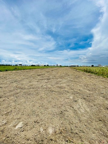 台南鹽水區漂亮農地｜台南市鹽水區下中