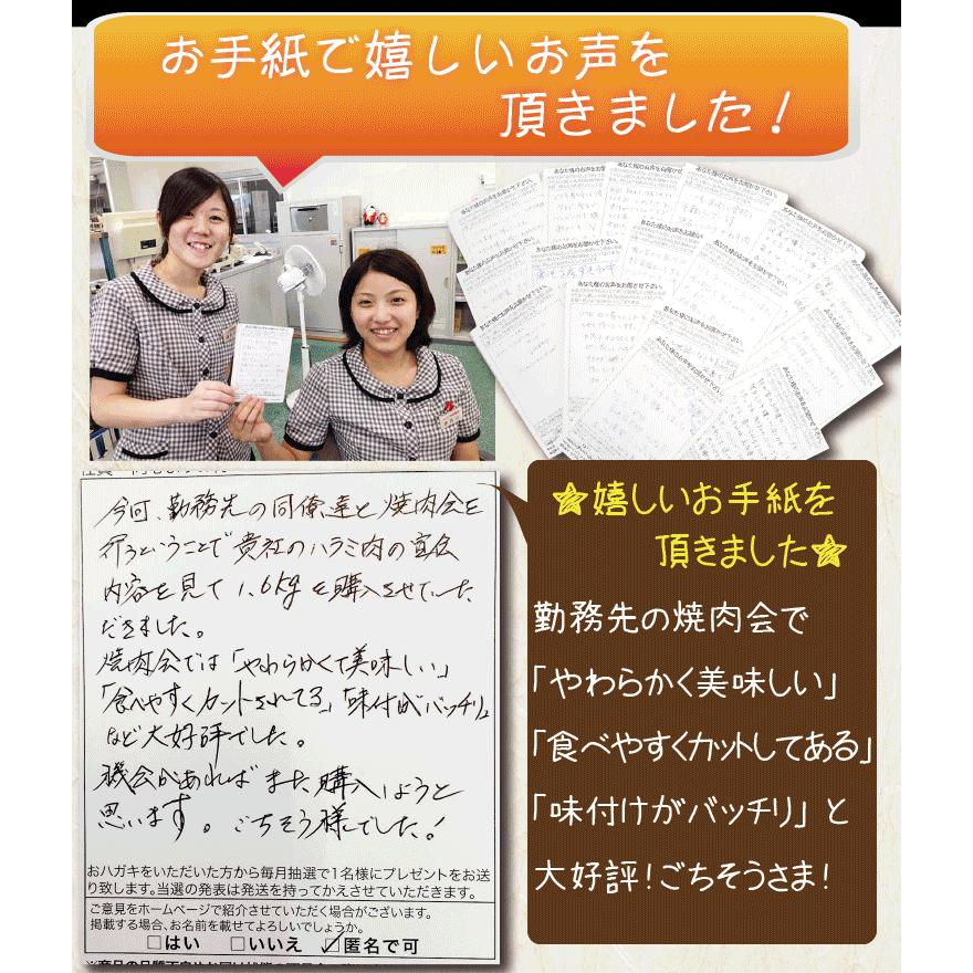 ギフト 肉 焼肉 福袋 1kg 3種盛 送料無料 肉 和牛 入り 焼肉セット 訳あり ハラミ 豚 カルビ