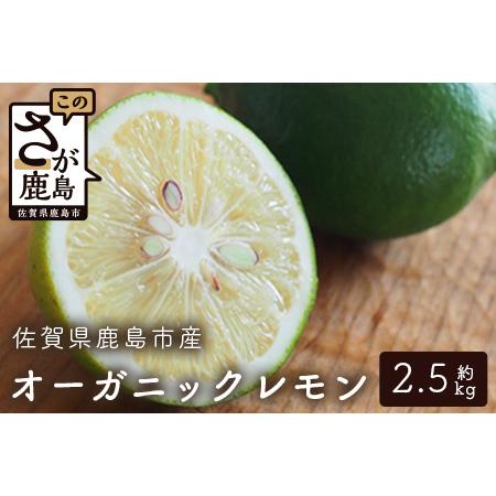 ふるさと納税 国産 オーガニックレモン 約2.5kg レモン 檸檬 B-91 佐賀県鹿島市