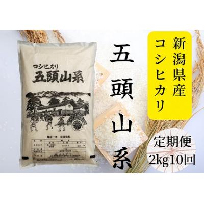 ふるさと納税 阿賀野市 「米屋のこだわり阿賀野市産」コシヒカリ2kg×10回