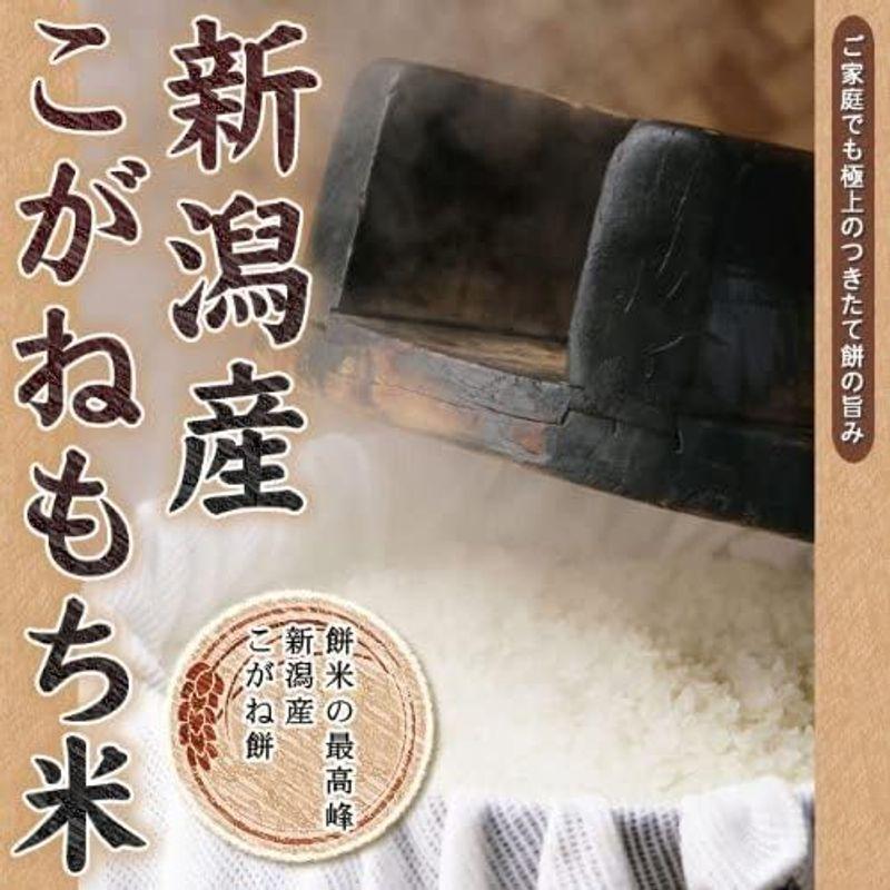 新潟県産 白米 こがねもち米 10kg (5kg×2袋) 令和4年産