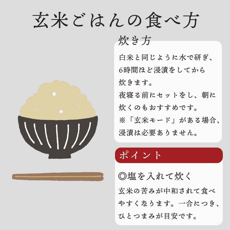 送料無料 玄米ごはんの素 白米と混ぜて炊ける発芽玄米 70g×7袋