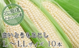 朝採りL-LL 10本セット≪北海道上富良野町産≫