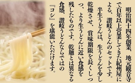 うどん さぬきうどん 半生 つゆパック付 18人前