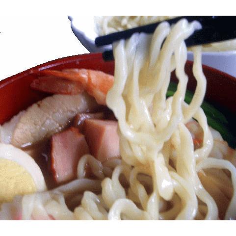 味噌ラーメン  取り寄せラーメン ご当地ラーメン 人気のみそラーメン 味噌ラーメン10食 白河ラーメン