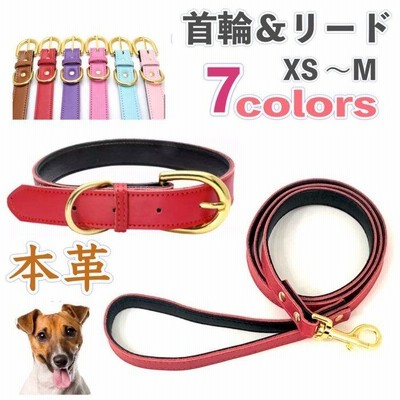 メール便指定可能 中型〜大型犬用の首輪 本革製平革タイプ 情熱の赤 メール便指定可能 中型〜大型犬用の首輪 本革製平革タイプ 情熱の赤