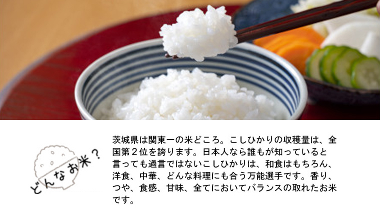 《 令和5年産 》 茨城県産 コシヒカリ 20kg 5kg × 4袋  期間限定 こしひかり 米 コメ こめ 五ツ星 高品質 白米 精米 時短 単一米 新米 [AC041us]