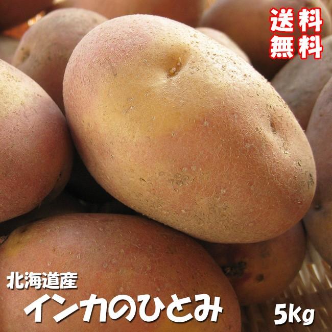 インカのひとみ お得用5kg (サイズ無選別) インカのめざめの新品種  北海道産 送料無料 ※只今発送中