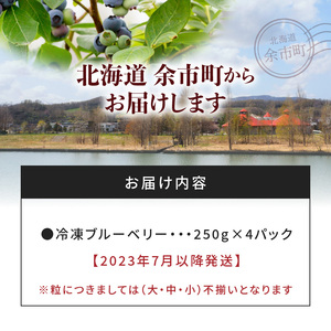 冷凍ブルーベリー 250g×4パック 北海道産　甘くてジューシー 余市産 ブルーベリー 250g × 4パック 合計 1kg 冷凍 北海道 余市町 国産 抗酸化作用 フルーツ 果物 お取り寄せ 小分け パック_Y010-0024