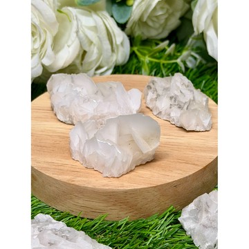 *掘晶*花瓣方解石 玫瑰花瓣方解 2/5上新 ｜紅色螢光 礦標收藏 水晶盆栽