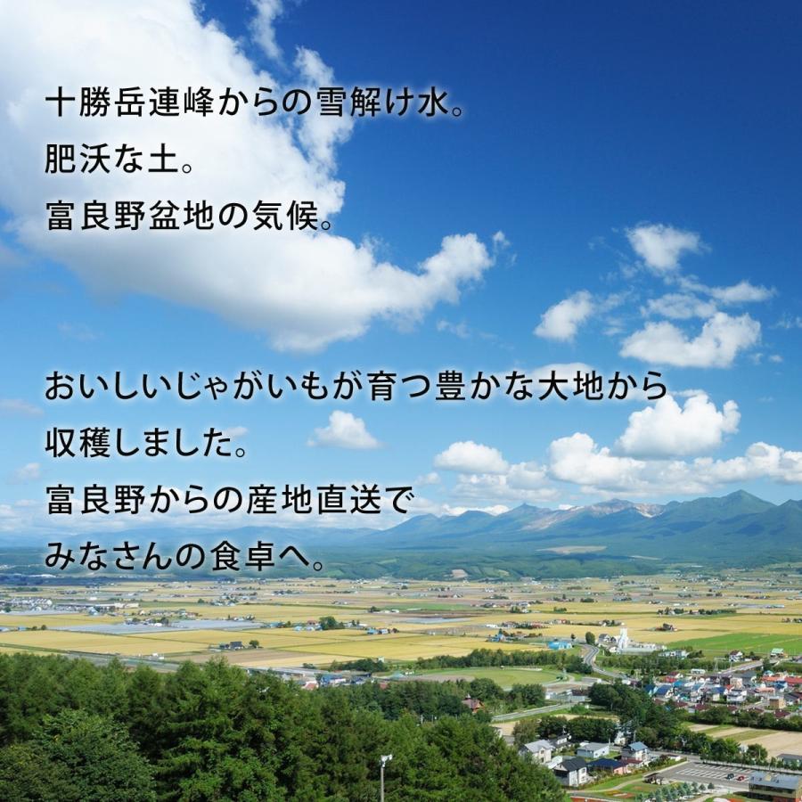 富良野産 じゃがいも 男爵