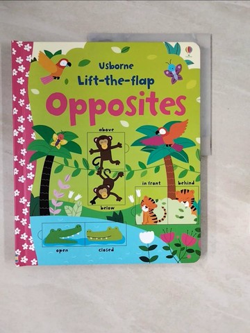 【書寶二手書T3／少年童書_ZQP】Lift-the-Flap Opposites_Melisande Luthringer,Rebecca Gilpin