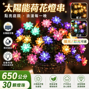 台灣現貨🌟太陽能荷花燈串 太陽能燈 太陽能感應燈 650公分30燈 太陽能燈串 裝飾燈串 太陽能裝飾燈 裝飾燈 戶外燈