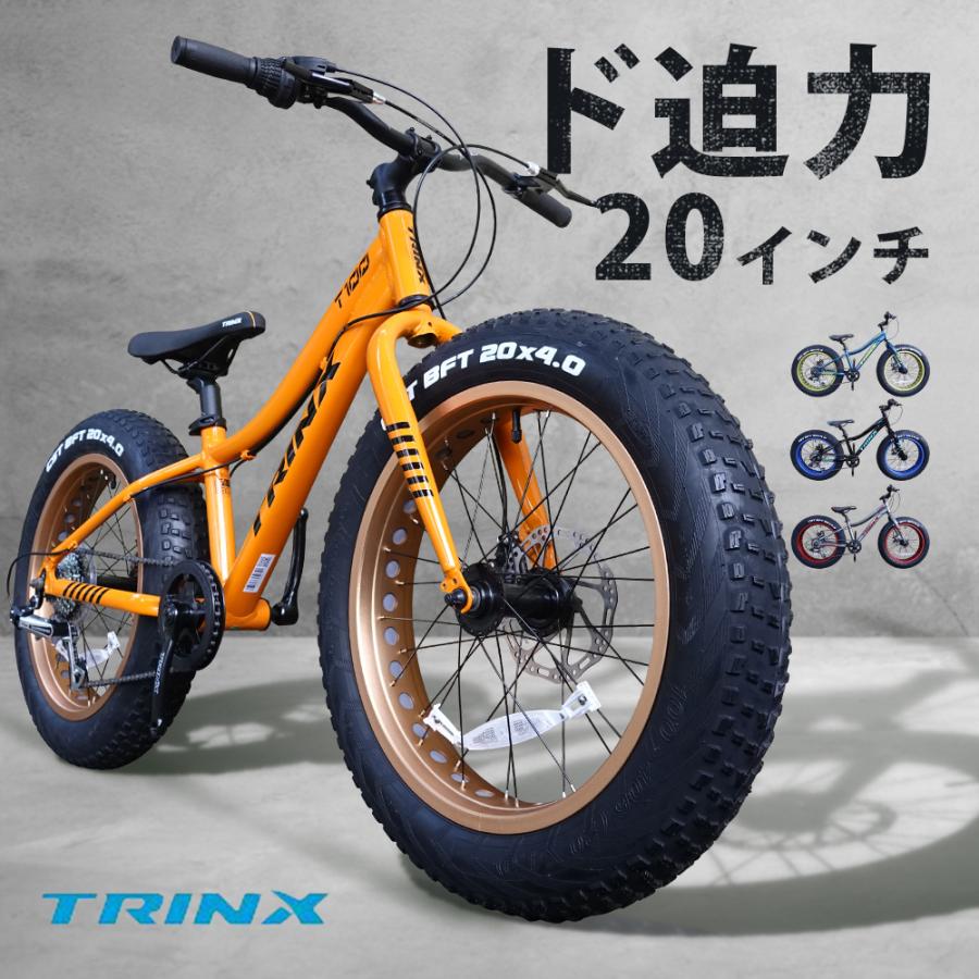 ファットバイク 20インチ Wディスクブレーキ 自転車本体 かっこいい 