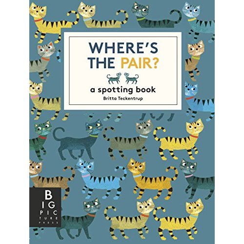 Where's the Pair?: A Spotting Book (Big Picture Press)