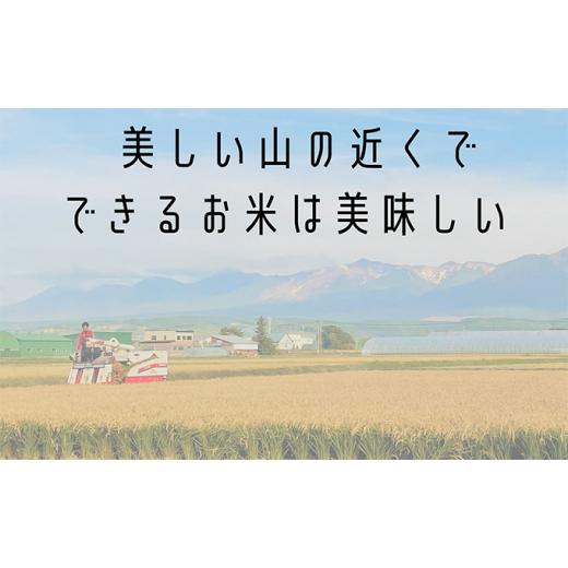 ふるさと納税 北海道 上富良野町 ◆10ヵ月連続定期便◆ゆめぴりか 無洗米 5kg ／北海道 上富良野産 〜It's Our Rice〜