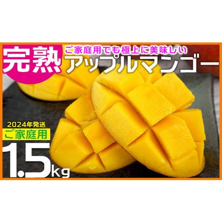 ふるさと納税 ご家庭用でも極上に美味しい完熟アップルマンゴー1.5kg　農園直送！ 沖縄県大宜味村