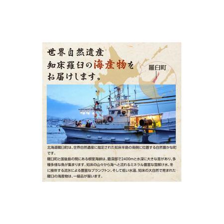 ふるさと納税 12月17日入金分まで 年内発送 さしみ鮭と焼き鮭切り身セット 生産者 支援 応援 F21M-142 北海道羅臼町