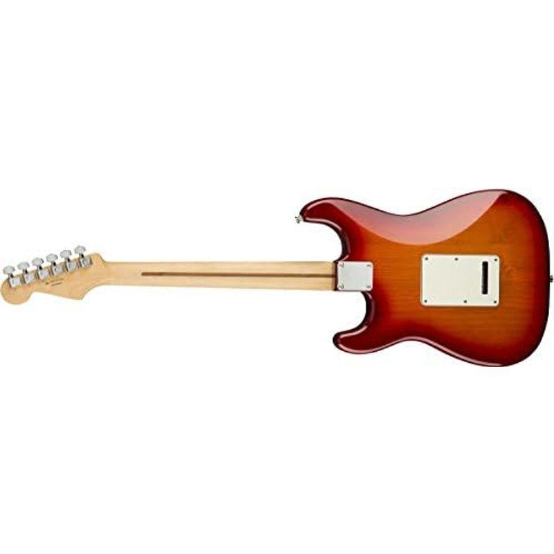 Fender エレキギター Player Stratocaster? Plus Top, Pau Ferro Fingerboard, To