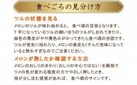 アールスメロン 2玉（3.5キロ以上）   長崎県農産品流通合同会社   長崎県 雲仙市 [item0085]   野菜 果物 フルーツ メロン アールスメロン 期間限定