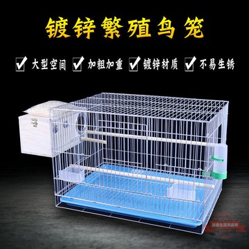 鳥籠子批發大型加大加粗加重鍍鋅繁殖籠牡丹玄風鴿子大號一件代發