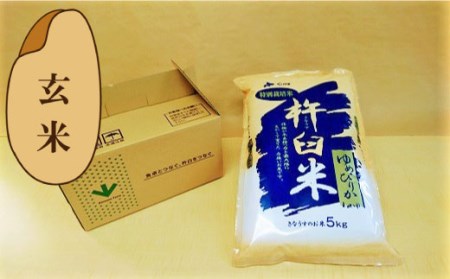 特別栽培「きなうす米」ゆめぴりか5kg×6回