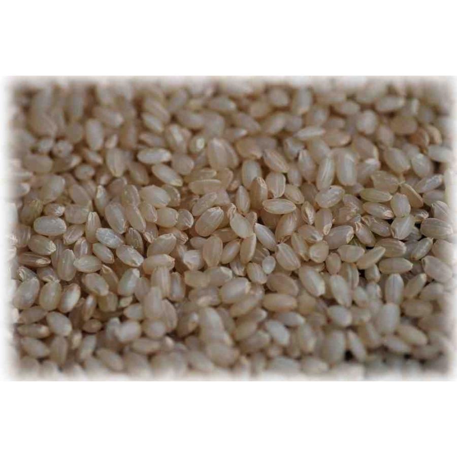 令和5年産 長野県東御産コシヒカリ 玄米3kg　残留農薬ゼロ