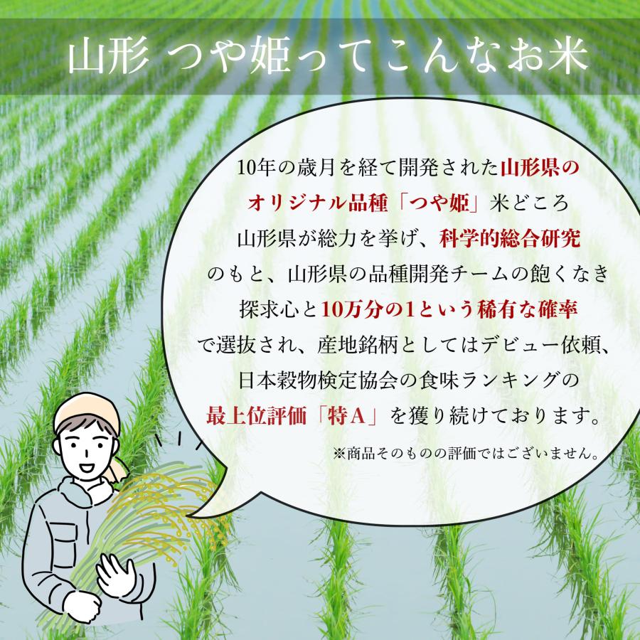 米 お米 4kg 山形産 つや姫 白米 4キロ 令和4年産 送料無料 2kgx2袋 つやひめ 精米 送料無料