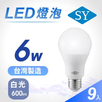 【SY 聲億】6W 高效能廣角LED燈泡 白光(9入)