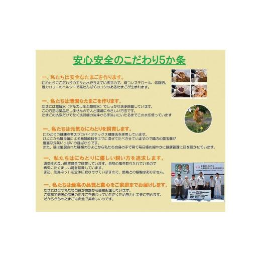 ふるさと納税 愛知県 大府市 日本三大地鶏！！ 「純系　名古屋コーチンの卵」（30個）　本当に美味しい食べ物は調味料の味に負けません！