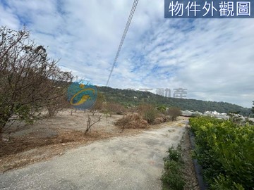西坪段1209-地勢平坦，臨路貨車可達，有電｜苗栗縣卓蘭鎮西坪