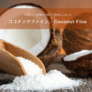 ココナッツファイン Coconut Fine   ココナッツ粉末 ココナッツパウダー アンビカ(AMBIKA) インド スパイス カレー アジ