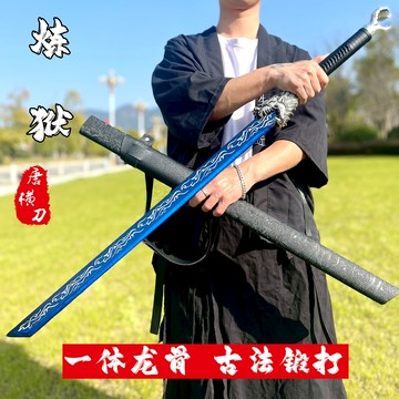 【最低價】【公司貨】彈簧鋼刀劍一體錳鋼唐橫刀長刀長劍戶外防身武俠車載冷兵器未開刃