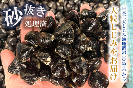 涸沼産 大粒 冷凍 シジミ 3.2kg （400ｇ×8袋） しじみ 蜆 大和しじみ ヤマトシジミ 大玉 砂抜き済 冷凍 味噌汁 スープ 魚貝類 貝 オルニチン コハク酸 小分け