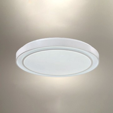 45W三色變光吸頂燈 B102-81-24969