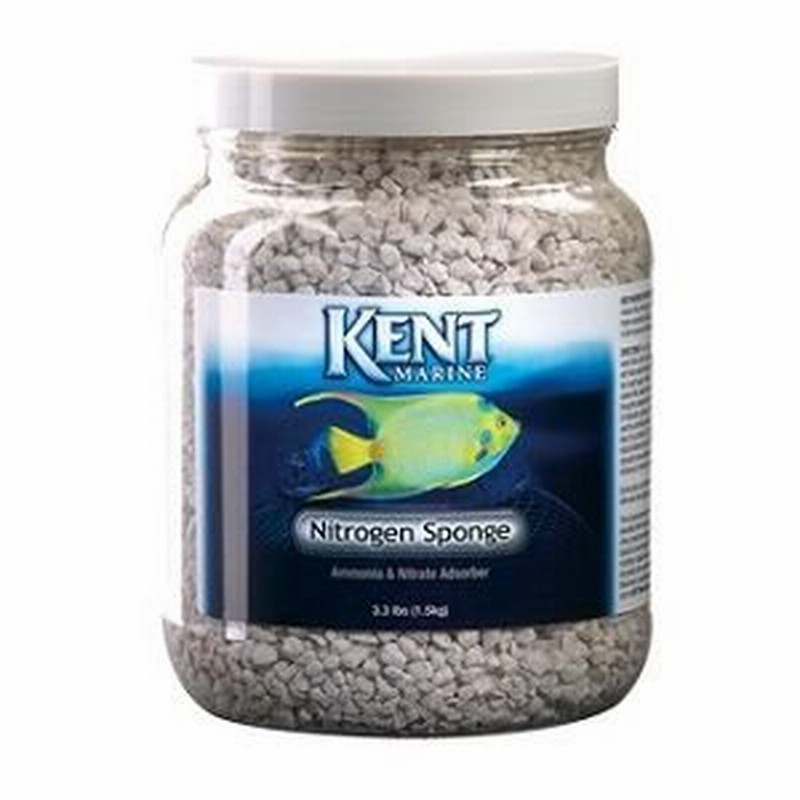 マーフィード ケント マリン ナイトレート スポンジ １５００ｇ 海水 ろ材 水質調整 通販 Lineポイント最大0 5 Get Lineショッピング
