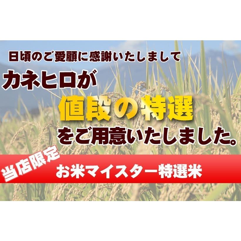 5年産 無洗米 彩のきずな10kg  5kg×2袋 白米 送料無料 埼玉県産