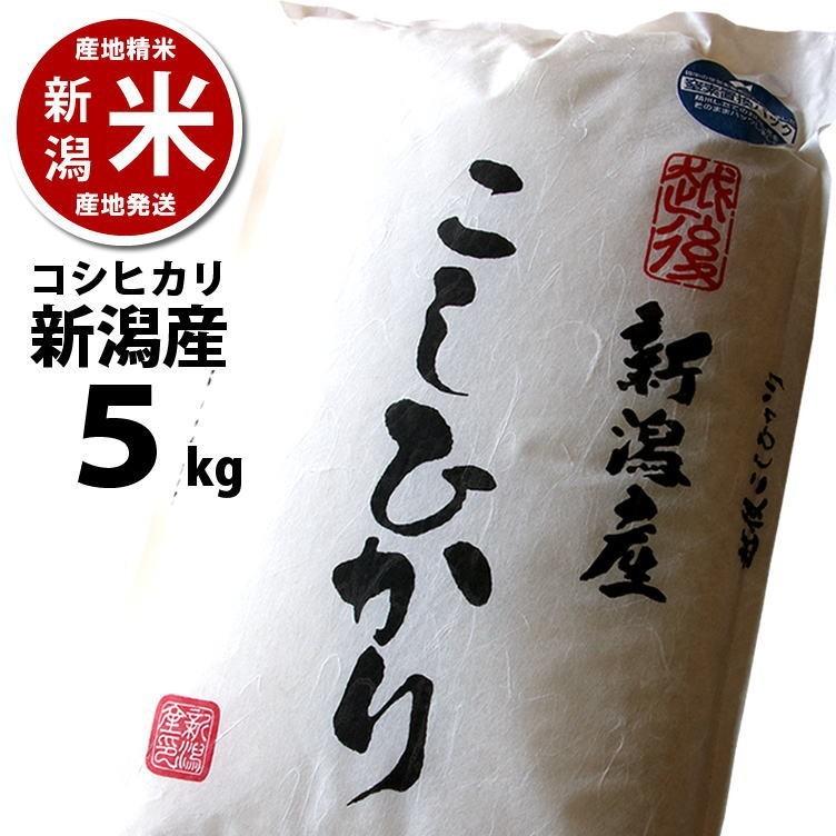 新米入荷 コシヒカリ 5kg 新潟産 新潟米  令和5年度産 産地直送 特産品 名物商品