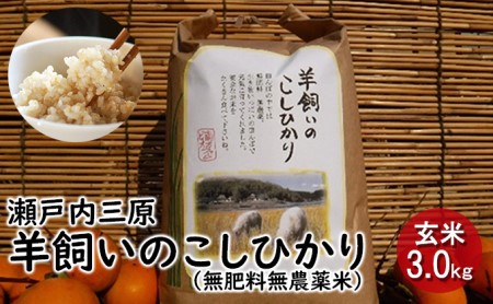 瀬戸内三原 羊飼いのこしひかり（無肥料無農薬米）玄米3kg 広島 瀬戸内ビオファーム