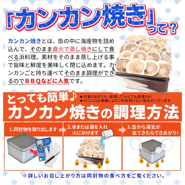 ほたて カンカン焼きセット ２０枚入 冷凍ほたて 送料無料 北海道産 半缶入り（貝むきナイフ・片手用軍手付き） ほたて片貝 海鮮 バーベキューセット