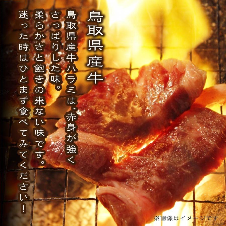 牛肉 ホルモン 国産 ハラミ 焼肉用 100g 量り売り BBQ  バーベキュー 鉄板焼き 横隔膜 鳥取 産地直送