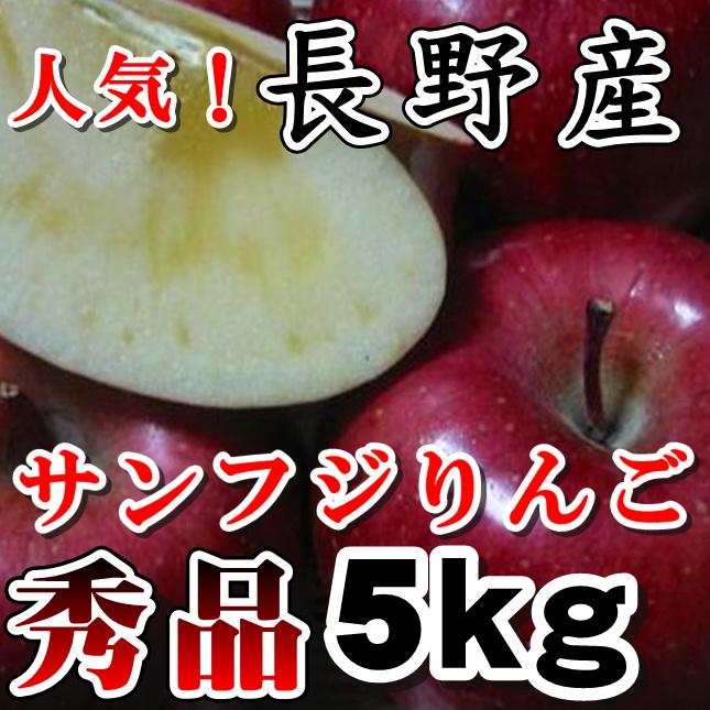 長野 サンふじりんご ギフトにも人気  秀品 信州産 5kg11玉〜18玉長野サンふじりんご　ギフトリンゴに　さんふじりんご お歳暮